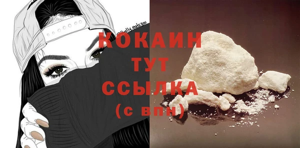 трава Ельня