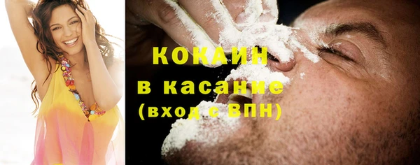 трава Ельня