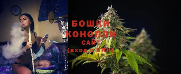 МДПВ Елизово