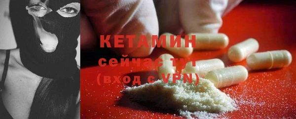 трава Ельня