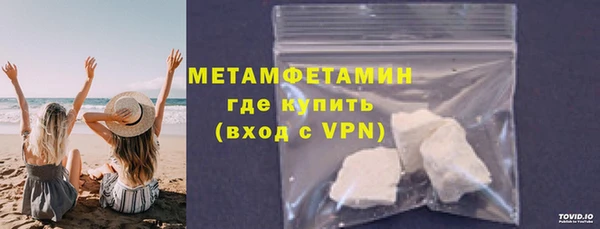 трава Ельня