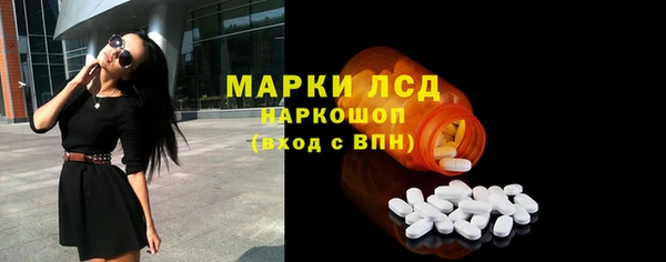 apvp Тайга