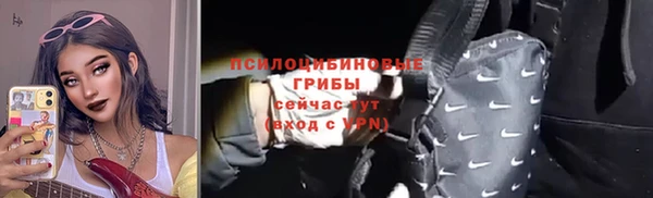 mdpv Елабуга