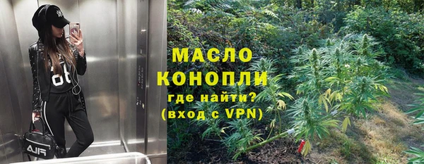 трава Ельня