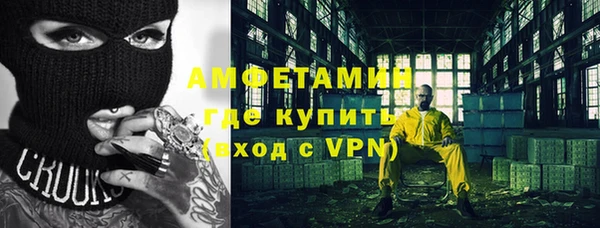 трава Ельня
