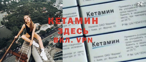 трава Ельня