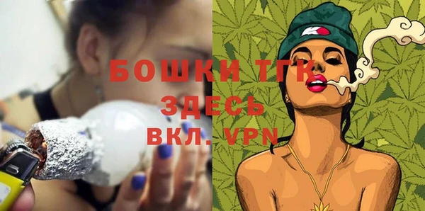 mdpv Елабуга