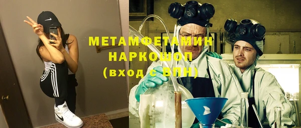 трава Ельня