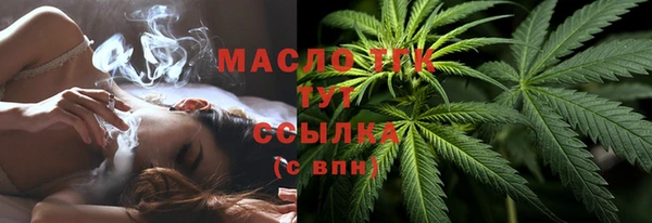 трава Ельня