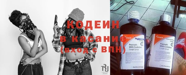 трава Ельня