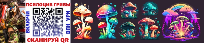 блэк спрут   Нижний Тагил  Псилоцибиновые грибы Cubensis  где можно купить  