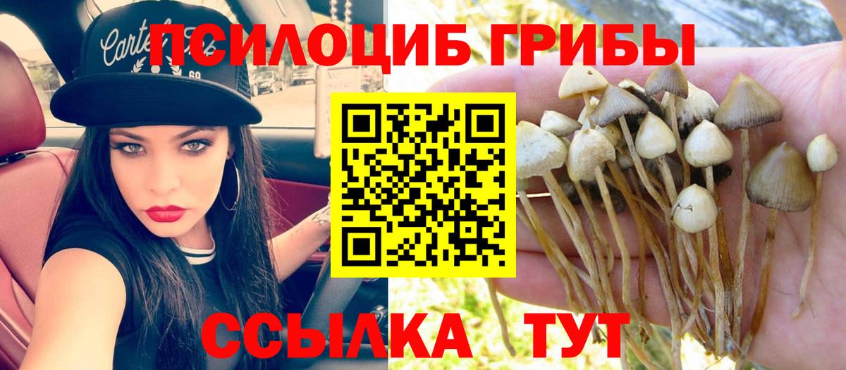 Псилоцибиновые грибы прущие грибы Нижний Тагил