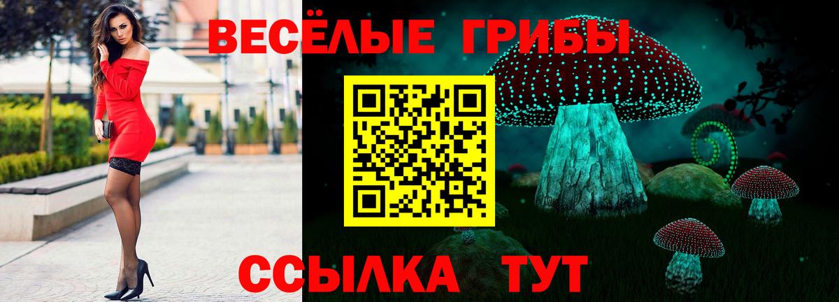 Псилоцибиновые грибы GOLDEN TEACHER  Псилоцибиновые грибы Cubensis  Вход с VPN  Нижний Тагил 