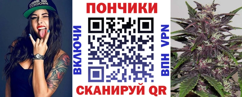 Конопля SATIVA & INDICA  продажа наркотиков  Нижний Тагил 